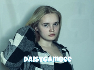 Daisygambee
