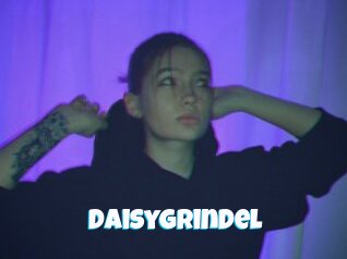 Daisygrindel