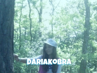 Dariakobra