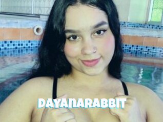 Dayanarabbit