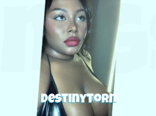 destinytorn Miss Gros Seins