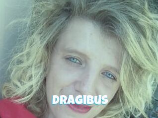 Dragibus