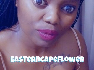 Easterncapeflower