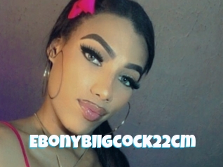 Ebonybiigcock22cm