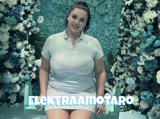 Elektraamotaro