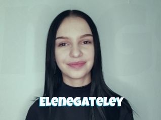 Elenegateley