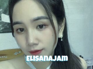 Elisanajam