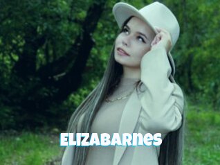 Elizabarnes