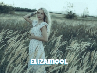 Elizamool
