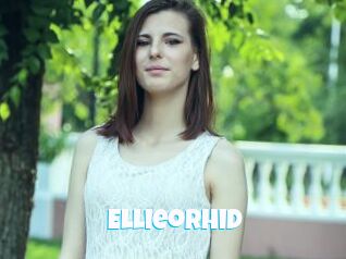 Ellieorhid