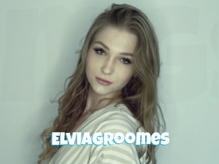 Elviagroomes