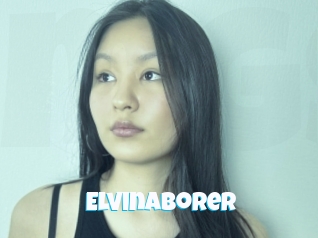 Elvinaborer