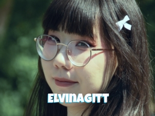 Elvinagitt
