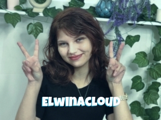 Elwinacloud