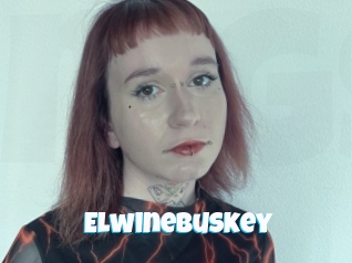 Elwinebuskey