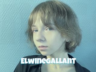 Elwinegallant