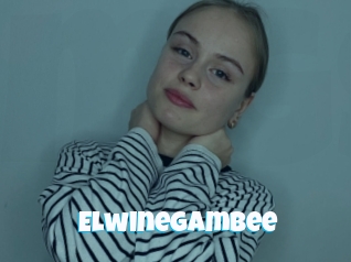 Elwinegambee