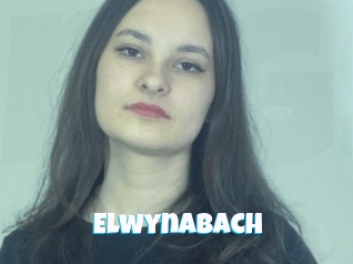 Elwynabach