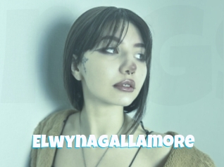 Elwynagallamore