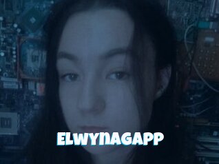 Elwynagapp