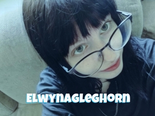Elwynagleghorn