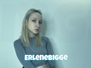 Erlenebigge