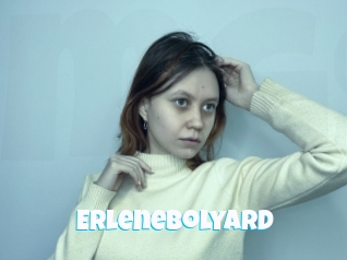 Erlenebolyard
