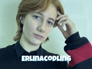 Erlinacodling