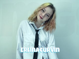 Erlinacurvin