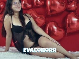 Evaconorr