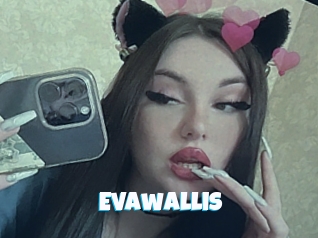 Evawallis