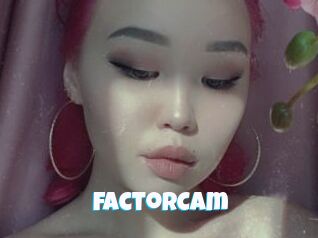 FactorCam