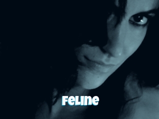 Feline