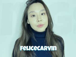 Felicecarvin