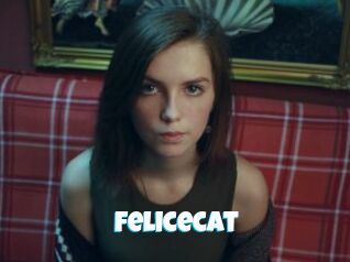 Felicecat