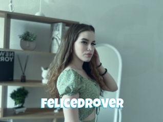 Felicedrover