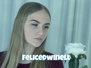 Felicedwinell