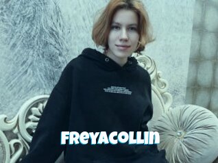Freyacollin