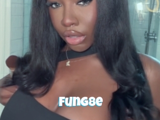 Fung8e