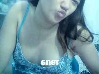 Gnet