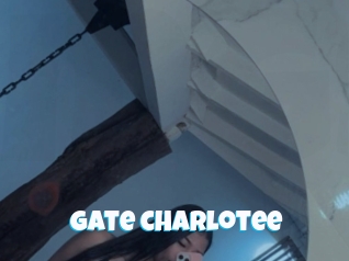 Gate_charlotee