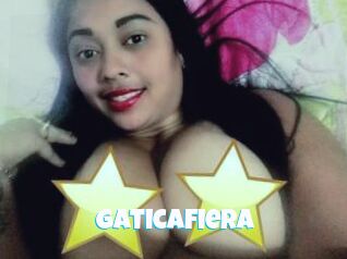 Gaticafiera