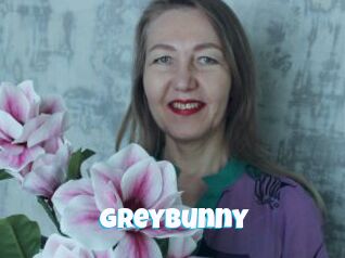 Greybunny