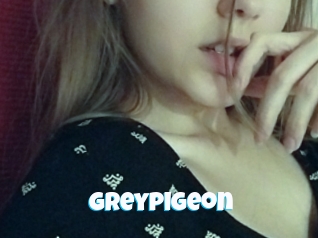 Greypigeon