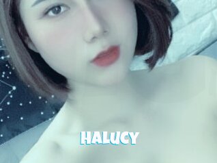 Halucy
