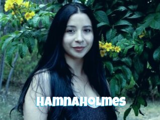 Hamnaholmes