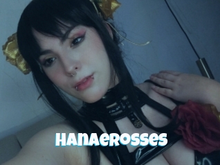 Hanaerosses