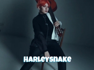 Harleysnake