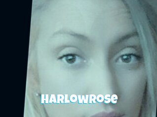 Harlowrose