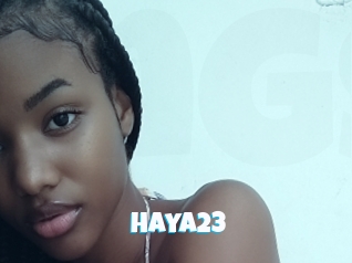 Haya23